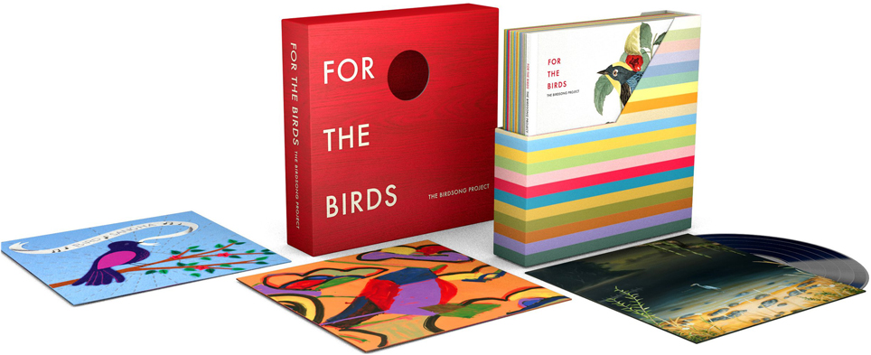 coffret box collector for the bird birdsong 2022