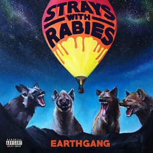 strays with rabies vinyle lp album