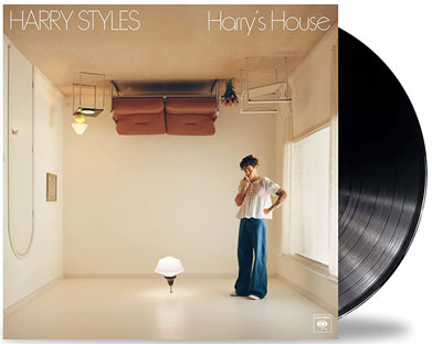 vinyl collector 2022 harry styles