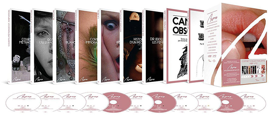 Coffret-collector-Borowczyk-edition-limitee-Blu-ray-DVD-Livre-2017