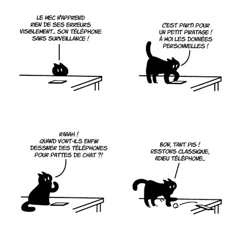 planche-putain-chat