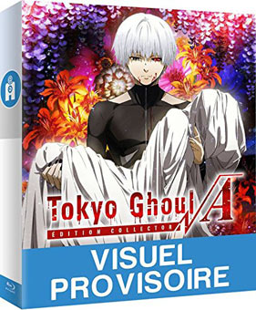 Tokyo-Ghoul-coffret-collector-integrale-saison-Bluray-DVD