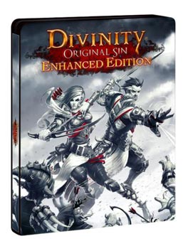 Divinity original sin enhanced edition сундук короля источника как открыть