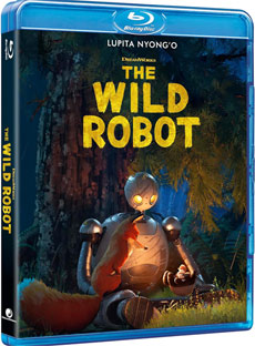 film animation dessin animee 2024 bluray dvd idee cadeau Noel