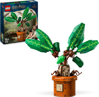 nouveau lego harry potter 2024