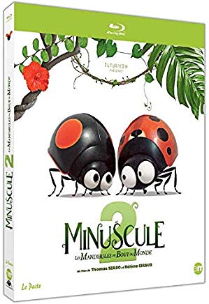 Minuscule 2