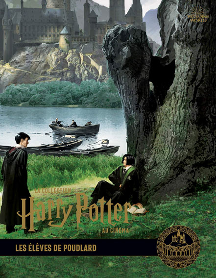 Harry potter au cinema achat precommande 2020