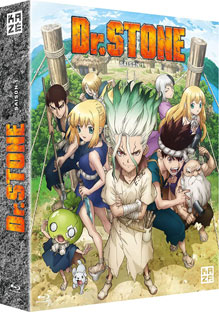 drstone