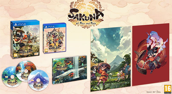 jeux video video game collector edition
