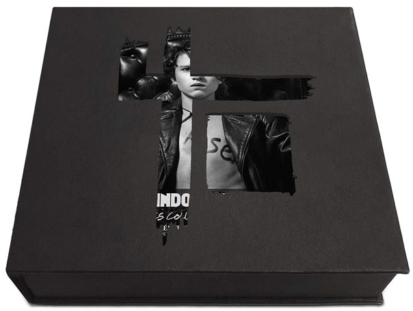 Indochine coffret collector Single 1981 2001 coffret intégrale Vinyle CD
