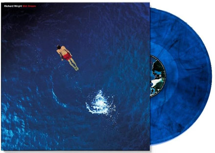 album solo pink floyd membres