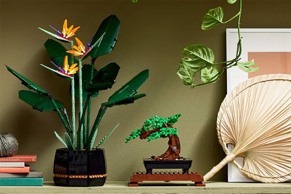 collection lego botanical 2021 birds of prey