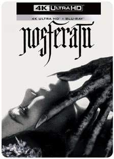 nosferatu precommande2025 bluray dvd 4k