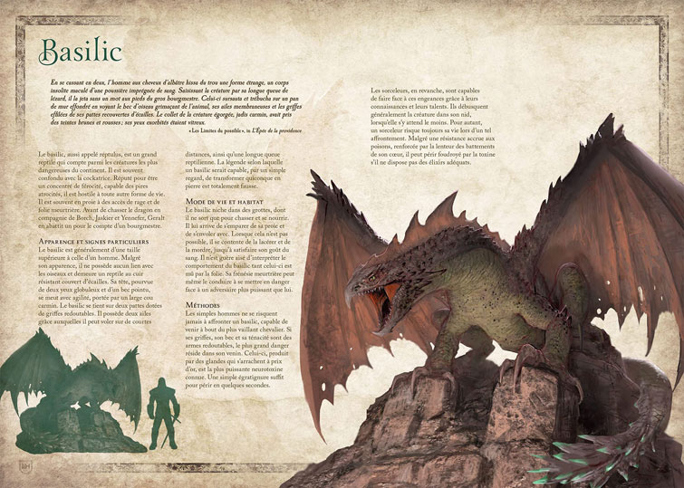 exemple codex the witcher