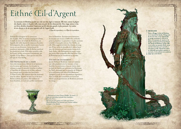 exemple page the witcher codex artbook