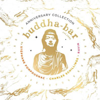 0 french louge eletro chill vinyle lp buddha bar