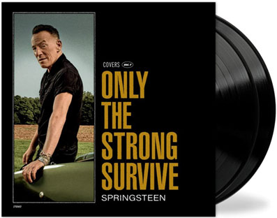 rock springsteen vinyle lp
