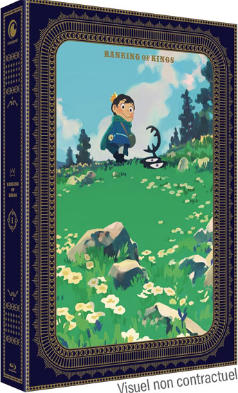 Ranking of king serie anime coffret integrale collector bluray saison
