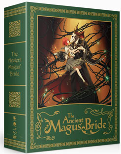 coffret collector anie animation japanimation