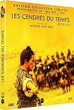 Les Cendres du Temps