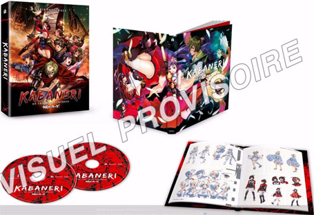 DESSIN-ANIME-JAPANIMATION-BLURAY-DVD-collector