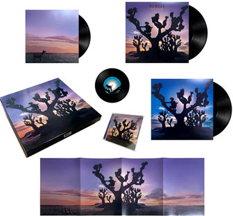 box-collector-cd-vinyle-mp3