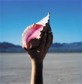 nouveaute-pop-rock-CD-Vinyle-MP3