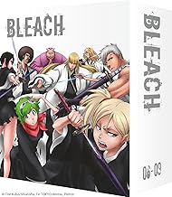 Bleach Partie 6